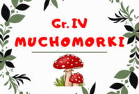Muchomorki 04.05.2020-08.05.2020