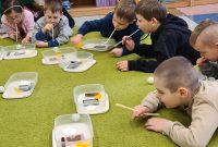 Zajęcia logopedyczne