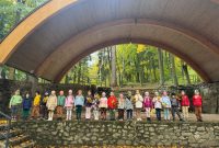 Dzień drzewa – Niezapominajki