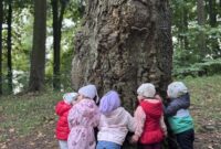 Leśny czwartek Fiołków – Mali odkrywcy Kościelnej Góry