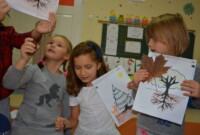 Warsztaty przyrodniczo-leśne w listopadzie