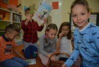 Warsztaty przyrodniczo-leśne w listopadzie