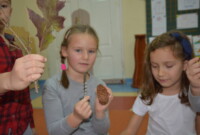 Warsztaty przyrodniczo-leśne w listopadzie