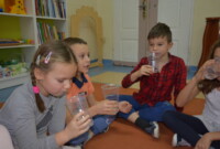 Warsztaty przyrodniczo-leśne w listopadzie