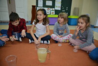 Warsztaty przyrodniczo-leśne w listopadzie