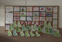 Czyste powietrze wokół nas