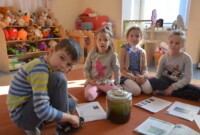 Mchy i porosty – to ciekawe!