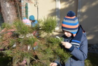 Mchy i porosty – to ciekawe!