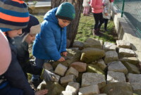 Mchy i porosty – to ciekawe!