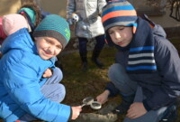 Mchy i porosty – to ciekawe!