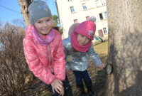 Mchy i porosty – to ciekawe!