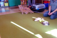 Nasi kochani Rodzice