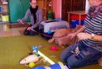 Nasi kochani Rodzice