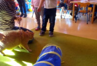 Nasi kochani Rodzice