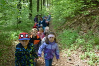 Lubimy niezapominajki!