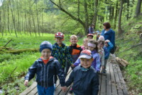 Lubimy niezapominajki!