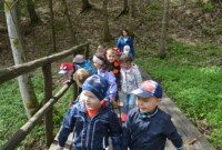 Lubimy niezapominajki!