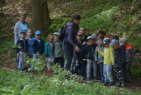 Lubimy niezapominajki!