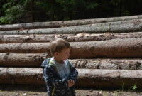 Lubimy niezapominajki!