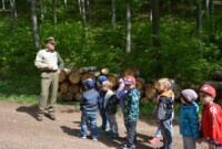 Lubimy niezapominajki!