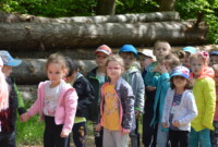 Lubimy niezapominajki!