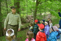 Lubimy niezapominajki!