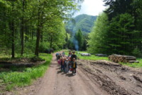 Lubimy niezapominajki!