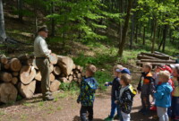 Lubimy niezapominajki!