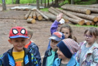 Lubimy niezapominajki!