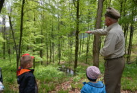 Lubimy niezapominajki!