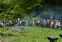 Lubimy niezapominajki!