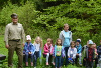 Lubimy niezapominajki!