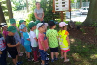 Co w lesie piszczy…