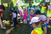 Co w lesie piszczy…