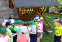 Co w lesie piszczy…