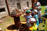 Co w lesie piszczy…