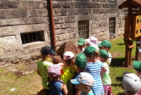 Co w lesie piszczy…