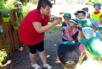 Co w lesie piszczy…