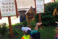 Co w lesie piszczy…