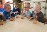 Sok marchwiowo-jabłkowy