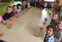 Sok marchwiowo-jabłkowy