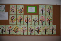 Światowy Dzień Drzewa 2019