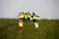 Malinki lubią drzewa