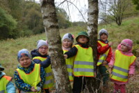 Malinki lubią drzewa