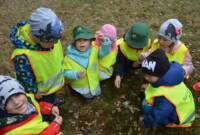 Malinki lubią drzewa