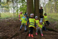 Malinki lubią drzewa