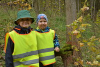 Malinki lubią drzewa