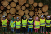 Malinki lubią drzewa