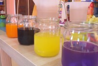 Eksperymenty i jesienne obserwacje przyrody