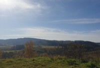 Eksperymenty i jesienne obserwacje przyrody